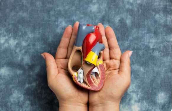 Hati-hati! Ternyata Gejala Awal Penyakit Ginjal Suka Muncul di Malam Hari